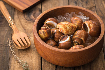 seafood babylonia areolata or Spotted babylon on wood
