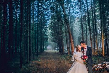 Bride and groom in a park kissing.couple newlyweds bride and groom at a wedding in nature green forest are kissing photo portrait.Wedding Couple