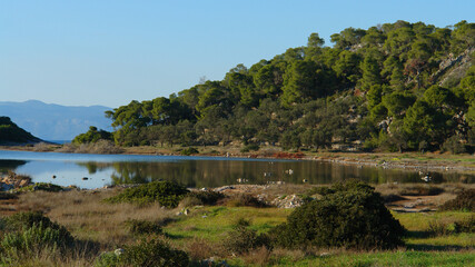 Photo from picturesque island of Agistri, Saronic gulf, Greece