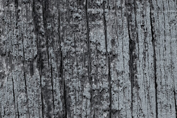 Wood texture blue color background