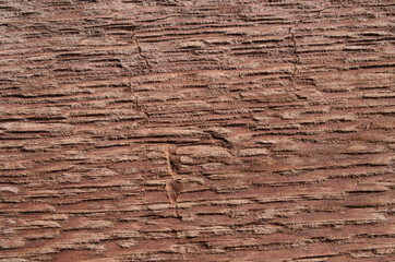 Wooden board texture