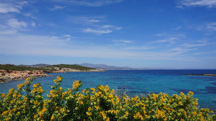Spring photo of Hamolia area in Porto Rafti, Mesogeia, Attica, Greece