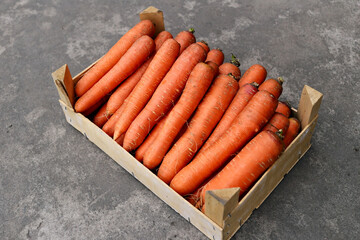 Fresh carrots in a wooden box on a gray background. Carrots inside white wooden box on the grey...