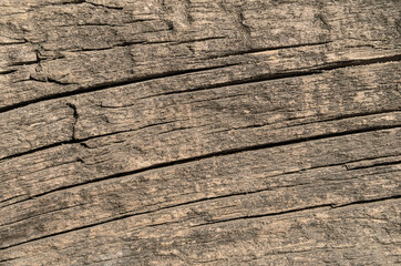 Board wooden texture close-up