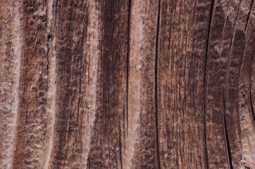 Obraz premium Brown wooden background texture of the wall. Abstract background, surface with vertical lines