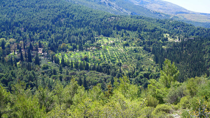 Fototapeta na wymiar Photo of Kessariani area in Hymetus mountain, Attica, Greece