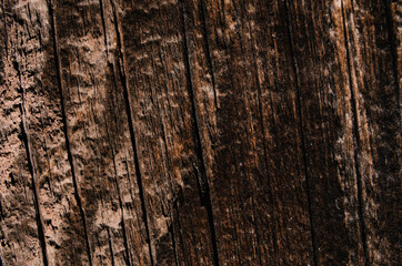 Dark natural color of a wooden texture