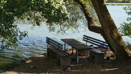 Bilder und Videos suchen: sitzgelegenheit