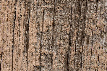 Texture of a wooden surface with old paint