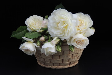 букет белых роз в корзине на четном фоне
