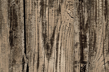 Gray color of a wooden texture. Abstract background