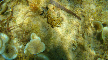 Photo from Porto Rafti bay, Avlaki, Attica, Greece