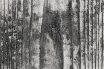 Burnt wood texture black and white color