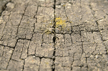 Small cracked on the surface of hemp