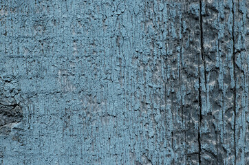 Wood texture blue color background
