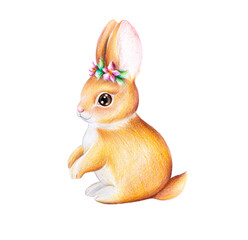 Small cute brown rabbit - 157551848