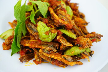 Malaysian dish dried anchovy with stink bean in hot chili sauce or locally known as sambal petai ikan bilis.