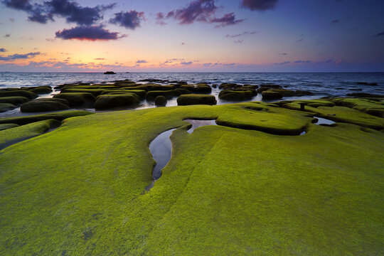 Mossy rock during sunset at the Kudat, Sabah. Malaysia.
