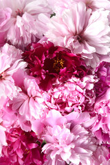 Dahlias bouquet pink