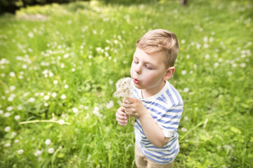 Llittle boy playing on meadow, sunny spring day.