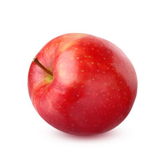 One red Apple isolated on a white background.
