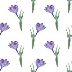 Crocus 5. Seamless floral pattern. Watercolor illustration. Hand-drawing