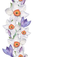.Daffodils and crocuses - seamless border. Watercolor illustration. Handmade drawing. Isolated on white