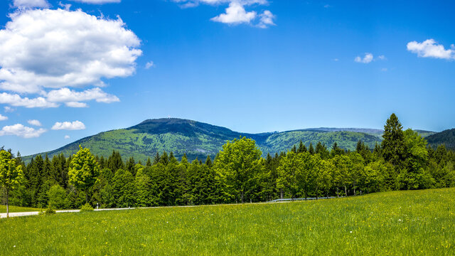 Grosser Falkenstein im Nationalpark Bayerischer Wald