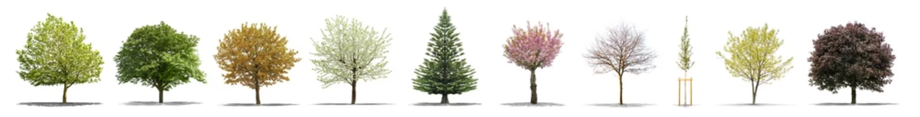 Meubelstickers High definition collection Tree isolated on a white background © Production Perig