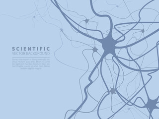 model of neural system