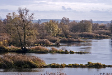 rzeka Odra © qrrr