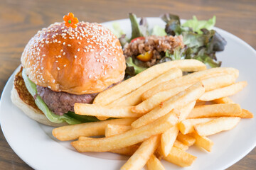 hamburger with fries