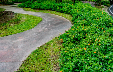 Fototapeta premium Concrete Pathway in garden