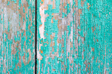 wooden retro background texture with remnants of old green paint with space for text