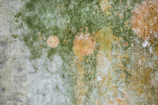 mossy grunge texture