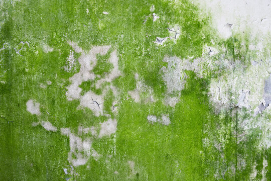 mossy concrete wall with peeling paint grunge texture