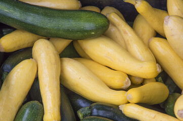 Zucchini & Yellow Squash