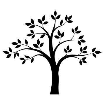 Black and white tree. Vector