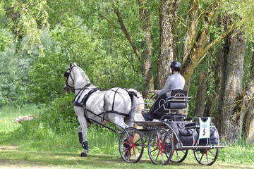 attelage