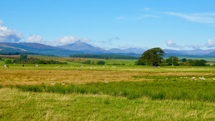 Obraz premium View over green fields with mountains in distance