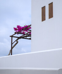 Traditional greek house with a bougainvillea flowers