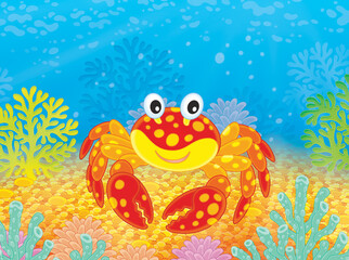 Red spotted crab among corals