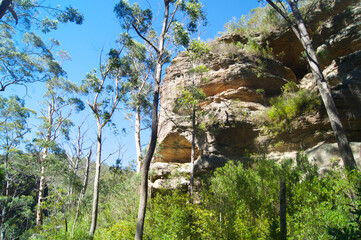 Fototapeta na wymiar Blue Mountains, New South Wales, Australien