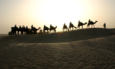 Travel with camel at the sunrise in desert tunisia