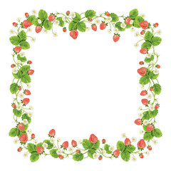 fresh berry round frame.