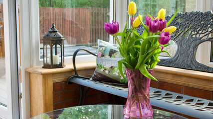 Vase of purple and yellow tulips in a conservatory with garden background
