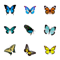 Fototapeta na wymiar Realistic Monarch, Checkerspot, Common Blue And Other Vector Elements. Set Of Butterfly Realistic Symbols Also Includes Morpho, Tiger, Orange Objects.