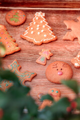 Christmas cookies decorated with frosting