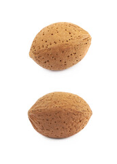 Single almond nut isolated
