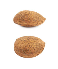 Single almond nut isolated